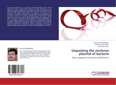 Unpacking the virulence plasmid of bacteria