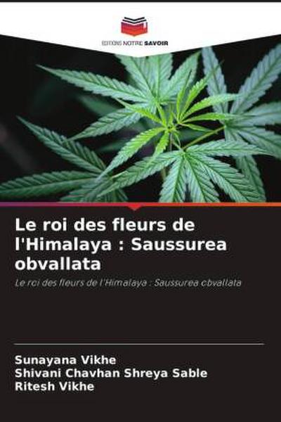 Le roi des fleurs de l’Himalaya : Saussurea obvallata