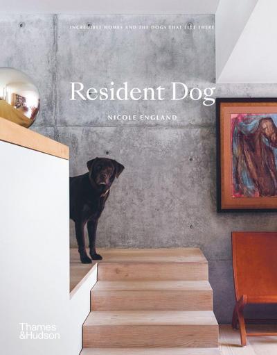 Resident Dog