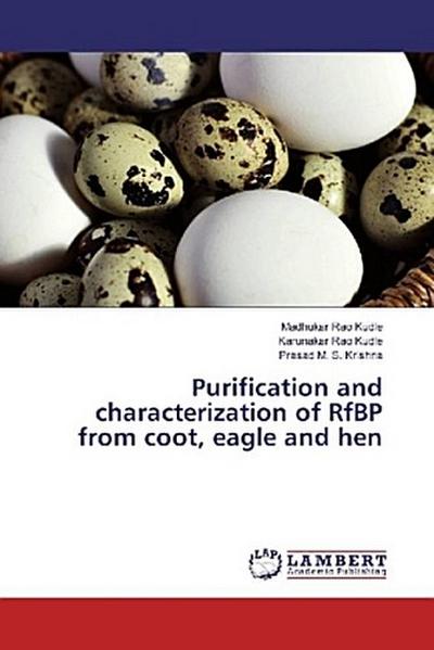 Purification and characterization of RfBP from coot, eagle and hen