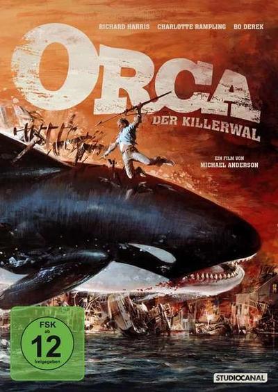 Orca der Killerwal