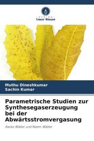 Parametrische Studien zur Synthesegaserzeugung bei der Abwärtsstromvergasung