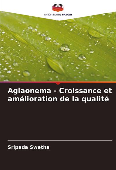 Aglaonema - Croissance et amélioration de la qualité