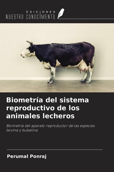 Biometría del sistema reproductivo de los animales lecheros