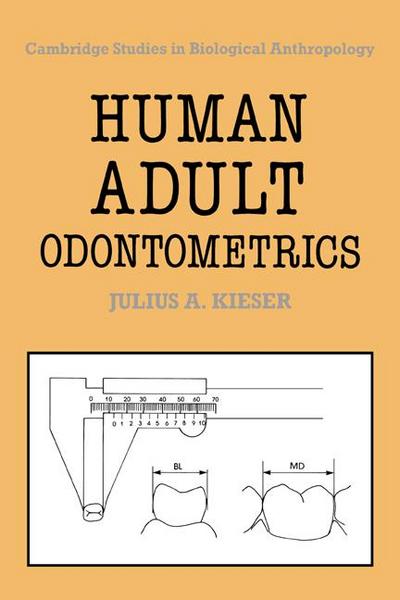 Human Adult Odontometrics