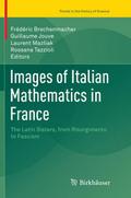 Images of Italian Mathematics in France