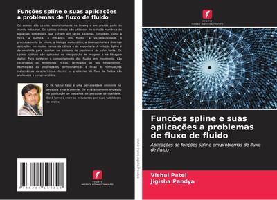 Funções spline e suas aplicações a problemas de fluxo de fluido