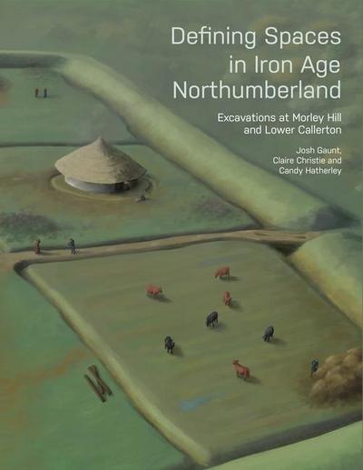 Defining Spaces in Iron Age Northumberland