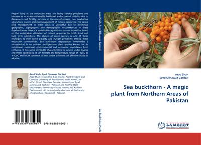 Sea buckthorn - A magic plant from Northern Areas of Pakistan