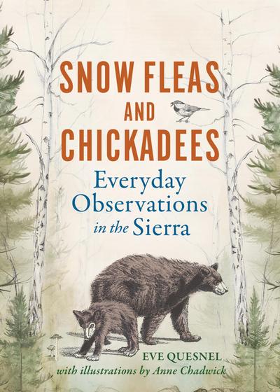 Snow Fleas and Chickadees