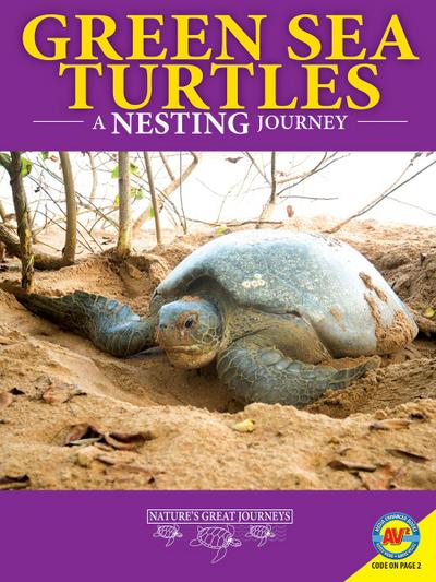 Green Sea Turtles: A Nesting Journey
