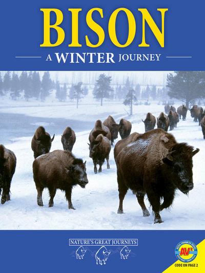 Bison: A Winter Journey