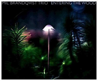 Entering The Woods (Digipak)