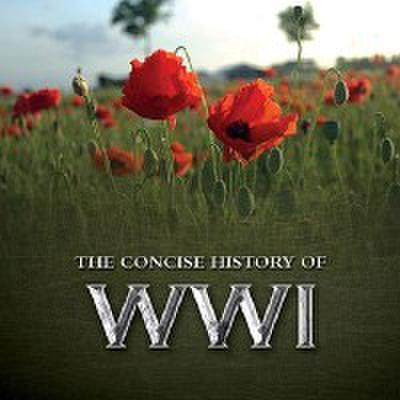 The Consise History of WWI