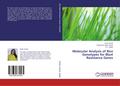 Molecular Analysis of Rice Genotypes for Blast Res