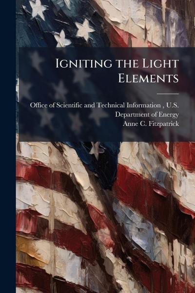 Igniting the Light Elements