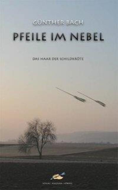Pfeile im Nebel