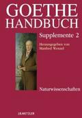 Goethe-Handbuch Supplemente