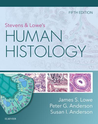 Stevens & Lowe’s Human Histology - E-Book