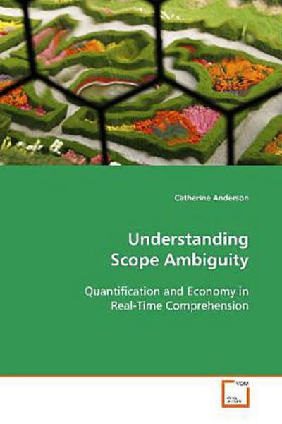 Understanding Scope Ambiguity