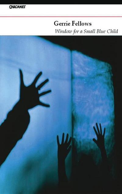 Window for a Small Blue Child