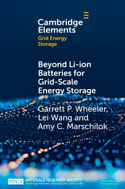 Beyond Li-ion Batteries for Grid-Scale Energy Storage