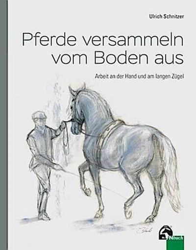Pferde versammeln vom Boden aus
