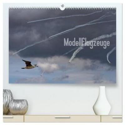 Modellflugzeuge Nr. 1 / 2026 (hochwertiger Premium Wandkalender 2026 DIN A2 quer), Kunstdruck in Hochglanz