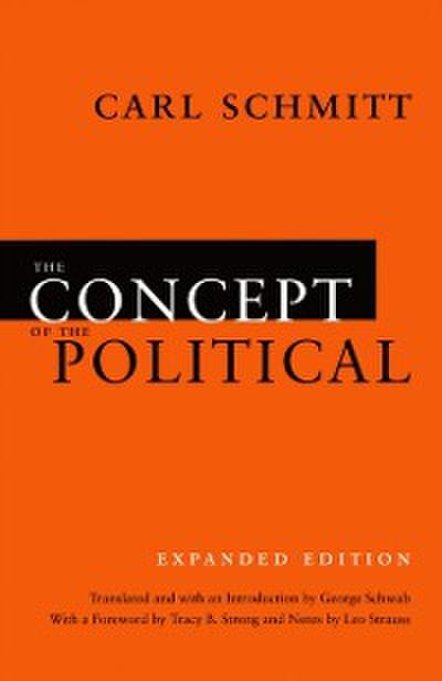 Concept of the Political