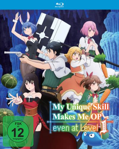 My Unique Skill Makes Me OP even at Level 1 (BR)  The Complete Season - Gesamtausgabe, 2 Disc