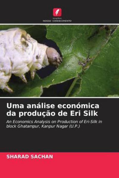 Uma análise económica da produção de Eri Silk