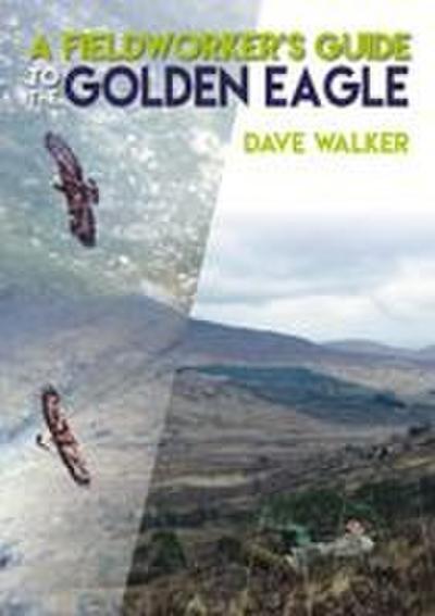 A Fieldworker’s Guide to the Golden Eagle
