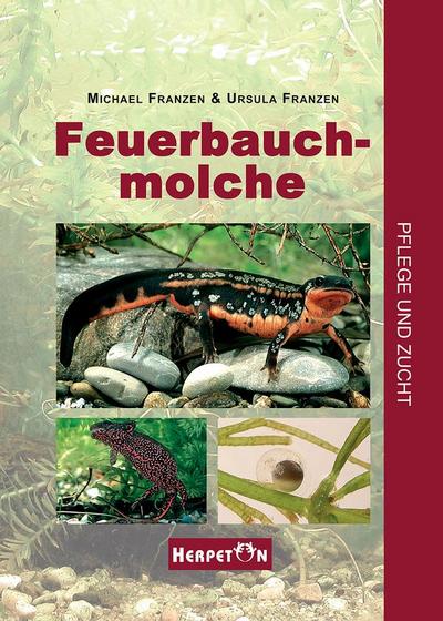 Feuerbauchmolche