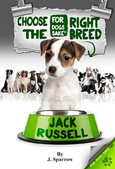Choose the Right Breed - Jack Russells
