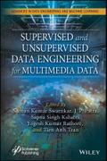 Supervised and Unsupervised Data Engineering for Multimedia Data