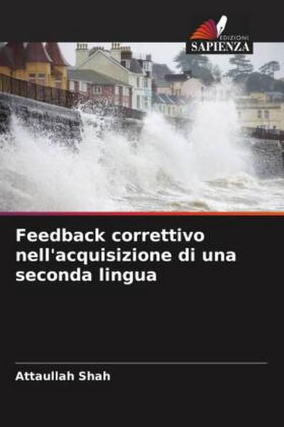 Feedback correttivo nell’acquisizione di una seconda lingua