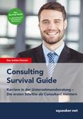 Consulting Survival Guide
