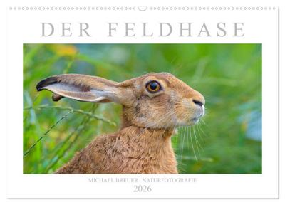 Der Feldhase (Wandkalender 2026 DIN A2 quer), CALVENDO Monatskalender