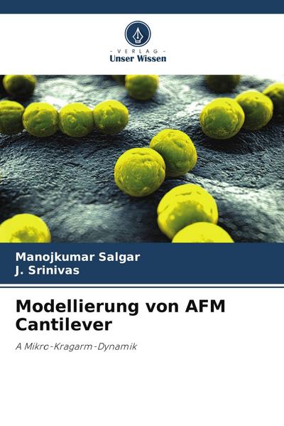 Modellierung von AFM Cantilever