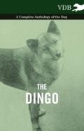 Dingo - A Complete Anthology of the Dog -
