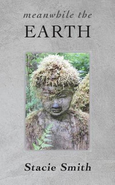 Meanwhile the Earth