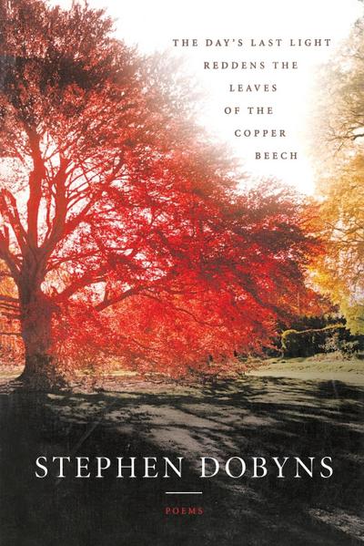 The Day’s Last Light Reddens the Leaves of the Copper Beech