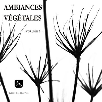 Ambiances Végétales - Volume 2