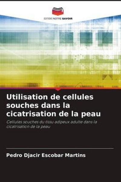 Utilisation de cellules souches dans la cicatrisation de la peau