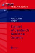 Control of Sandwich Nonlinear Systems