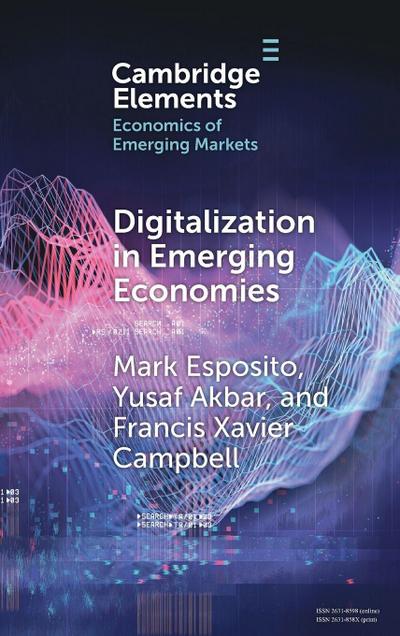 Digitalization in Emerging Economies