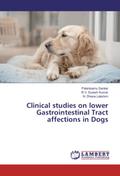Clinical studies on lower Gastrointestinal Tract a