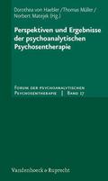 Perspektiven und Ergebnisse der psychoanalytischen