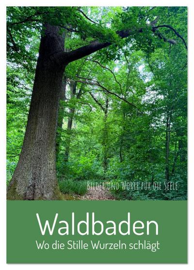 Waldbaden - Wo die Stille Wurzeln schlägt (Tischkalender 2026 DIN A5 hoch), CALVENDO Monatskalender