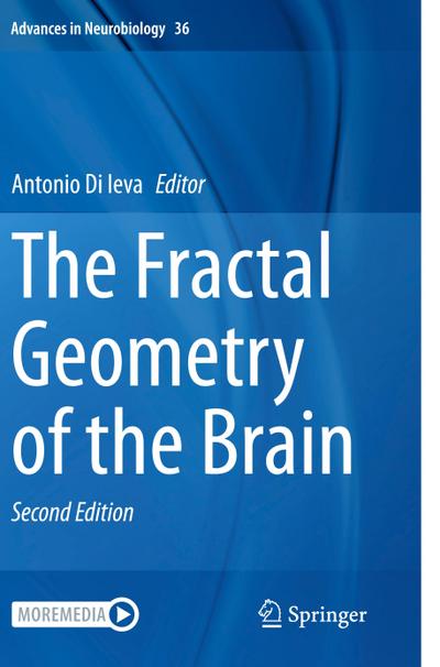 The Fractal Geometry of the Brain